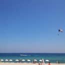 강릉목장 이미지