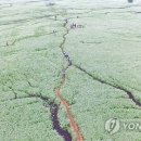 성읍리-28 이미지