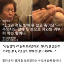 "1, 2년 정도 밖에 못 살고 죽어요"…수의사의 말에 두 손으로 치와와 귀부터 막는 할머니 이미지