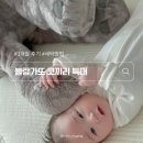 코끼리세탁 | 블랑가또 코끼리 특대 역방쿠 대체템 세탁 및 3개월 후기