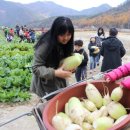 학봉초등학교 이미지