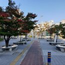 거제역 1번 출구 앞 이미지