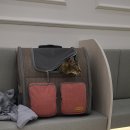 바하 고양이 병원 이미지