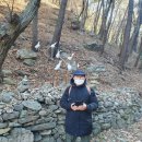 원집사 Daum카페
