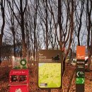 소망 | 우면산 소망탑 새벽 등산 후기(매헌시민의 숲 출발)