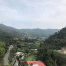 양밍산