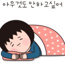 스테이ㅎ 이미지