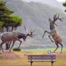 푸르름의 농원 이미지