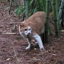 비 오는 아침 이미지