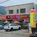 리송차이나 이미지