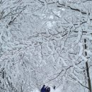 성희목장 이미지