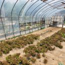 꿈에그린 캠핑장 이미지