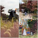 동산 농장 | 아이랑 서울근교 가을 나들이 | 서운동산 할로윈 &amp; 단풍 실시간 후기