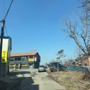 일진흑염소 이미지