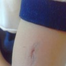 내가 알려줄게, 디지털 문서 | [가보리다의 일기s2] 둘째, 디지털 디톡스 후기