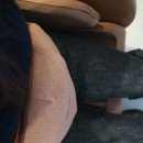 셀루닉하우스 강서점 이미지