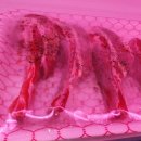 가야식육점 이미지