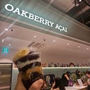 오크베리(OAKBERRY) - 양천구 | 🍓 [더현대 맛집] 아사이볼 맛집 오크베리(OAKBERRY) 후기