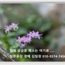 도척경희한의원 이미지