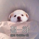 카페원플러스원 이미지