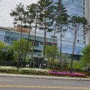 충무공동-1 이미지