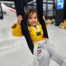 품 태권도장 이미지