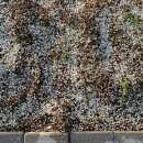 재은농장 이미지