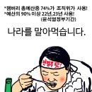 상암 월드컵경기장 잔디 현재 상태 이미지