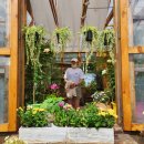 아우토하우스 | 10월2일 데일리코디 | 수원 호매실 맛집 열구자 | 행궁동 까페 아우토그라프 | 영화 어쩔수가 없다 후기