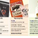 호코퍼레이션