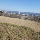 포항시남구10 이미지