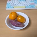 영서감자탕 | 새로운 시작,,,과 돼지런했던 연말˘̴͈́ꈊ˘̴͈́