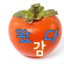 감 이미지 이미지