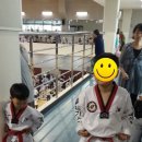 메가스태권도장 이미지