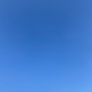 썸바디 독스 이미지