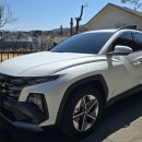 행복한카스토리 이미지