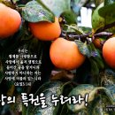 PICTURE&TEXT_20241020_사랑의 특권을 누려라!_요한일서 3장 14절_오순절 후 스물두 번째 주일 묵상_양림간 우리 동네 이미지