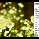 Self-Management & Growth a program(S.M.G후기모음)09_3_10일버젼 이미지