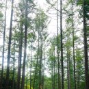 붓꽃섬 관광펜션 이미지