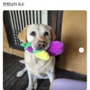 복돌네민박 이미지