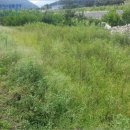 오봉1리 경로당 이미지