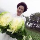 한성식품 이미지