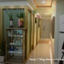 봄빛한의원 이미지