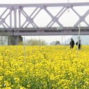 낙동강레일파크 주차장 이미지