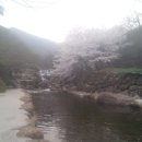 백운산민박 이미지