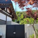 림스테이 이미지