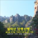 산사모 가을 단풍여행(10월27일) 설악산 흘림골&주전골. 이미지