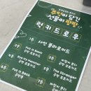 Beyond the | 260110 / 0111 온앤오프 콘서트 : THE MAP BEYOND THE HORIZON 후기