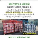 본동서적 이미지