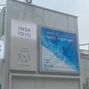 축제(서양화) | 인사동 인사1010 여름 전시 후기 | 청풍전 바람의 축제